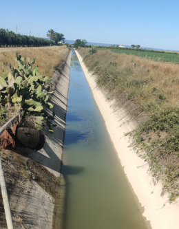 «Stagione irrigua, rispettare gli accordi»