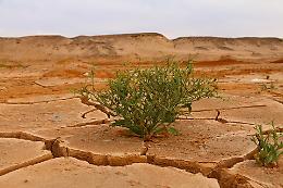 Gli obiettivi climatici come azioni concrete