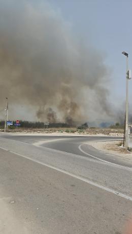 Fiamme sulla litoranea. Foto e video