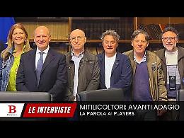 Mitilicoltori: avanti adagio