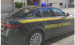 Scoperta dalla Dia di Bari una piantagione di canapa indiana sul Gargano: sequestrate 5.200 piante