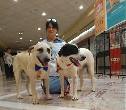 Arriva anche a Taranto “Dona la spesa”, la raccolta di prodotti rivolta agli animali abbandonati