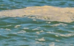 La mucillagine aggrava la crisi del comparto pesca