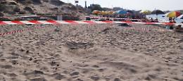 Nido di "caretta caretta" in una spiaggia della litoranea