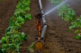 Da oggi stop all'erogazione dell'acqua, insorgono i Sindaci della Bat