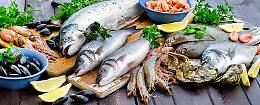 Fermo pesca sull’Adriatico, tutto quello che c'è da sapere