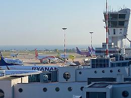 Xylella all’aeroporto di Bari: 8 ulivi infetti saranno abbattuti