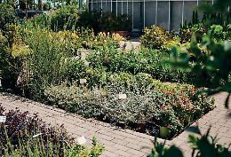 Giardini Resilienti e Clima-Adattivi