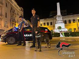 Escono da un locale e si scatena una rissa a colpi di pugni e calci: 6 feriti