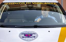 Settecento posti nella vigilanza privata, parte la selezione