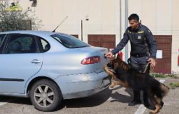 Il fiuto dei cani anti-droga della Finanza di Taranto incastra 13 persone