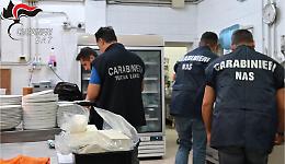 Posti di blocco e controlli contro il lavoro nero nella Bat. Il video e le foto