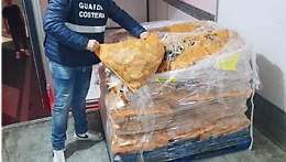 Sequestrati 900 chili di cozze dalla Guardia costiera di Barletta. Le foto