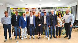 Consorzio di tutela del Primitivo di Manduria, tutti i nomi