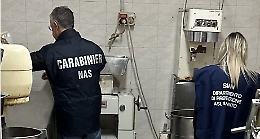 Gravi carenze igieniche in due panifici-pasticcerie nel Tarantino