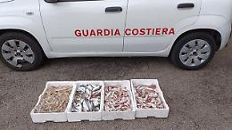 I controlli della Capitaneria di Porto nella Bat: raffica di sequestri e sanzioni. Le foto