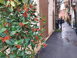 Immacolata, Taranto si prepara a festeggiare la sua patrona