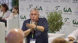 «Senza i fondi per la xylella, molti olivicoltori di Lecce e Taranto vanno verso il disastro»