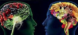 Curare l’intestino per guarire la mente
