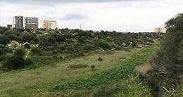 Lama Balice, via al progetto “Fiume Verde” per unire parco, città e litorale