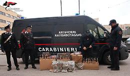 Blitz dei Carabinieri: 19enne arrestato con un quintale di botti illegali