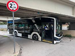 Bus incastrato sotto la 16 bis a Trani. Le foto diventano virali