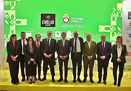 L'oro verde italiano conquista il mondo: il successo dell'export e il ruolo centrale della Puglia. Foto e Video