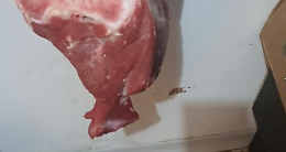 Carne in pessimo stato e rifiuti speciali: scattano sanzioni e sequestri. Le foto