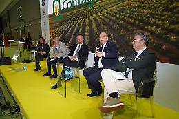 Agricoltura, in arrivo 80 milioni di euro per nuovi impianti in Puglia