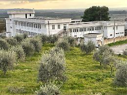 A Montemesola un Istituto Agrario Tecnologico