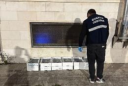 Sequestro di 60 chili novellame di alici: sanzione di 4mila euro per il trasgressore