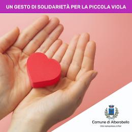 Alberobello si mobilita per la piccola Viola: raccolta fondi per sostenere le cure