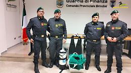 Sequestrati 16 chili di ricci di mare pescati illegalmente