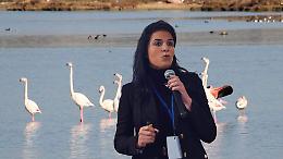 «Così restituiremo Palude La Vela alla città»