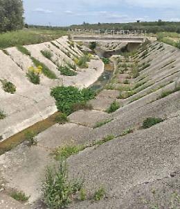 "Economia Verde", San Giorgio si muove contro i cambiamenti climatici