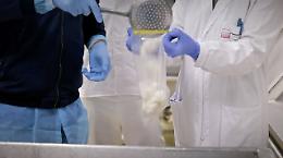 Burrate e mozzarelle pugliesi conquistano l’export: oltre 4.700 certificazioni dalla Asl nel 2024. Le foto