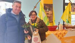 S, Valentino: fiori protagonisti tra tradizione e mercati locali. Ma a Taranto ecco i taralli dolci dell’amore 