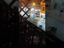 Taranto sott'acqua, strade allagate e disagi per automobilisti e pedoni. Il video