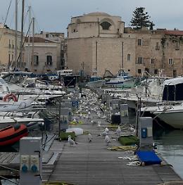"Il porto di Trani abbandonato, ennesima occasione sprecata". Le foto