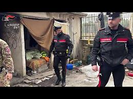 Blitz all’alba contro l’immigrazione clandestina, furti e droga. Il video