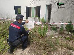 Abusi edilizi sul litorale di Melendugno: scoperte cinque costruzioni illegali