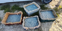 Sequestrati 200 kg di novellame