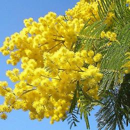 8 Marzo, "Serve un impegno quotidiano per i diritti delle donne"