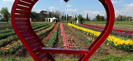 Ginosa Marina sboccia con il nuovo Tulipark: 200mila fiori per un'esperienza tra natura, arte e tradizione
