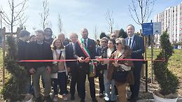 A Japigia 910 alberi per ricordare le vittime del Covid. Le foto