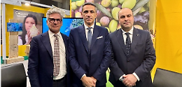 L’oro verde di Puglia conquista Trieste: successo per Olio Capitale 2025