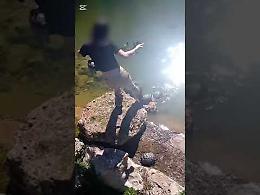 Tartarughe prese a calci al parco 2 Giugno: due ragazze denunciate dalla Lav. Il video
