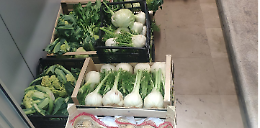 Maxi sequestro di ortofrutta ai venditori abusivi: scattano sanzioni per 15mila euro