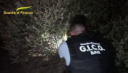 Colpo al narcotraffico: sequestrati beni per oltre 2 milioni di euro