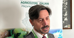 Rifiuti nelle campagne, dalla Regione un Fondo da 2 milioni per aiutare i comuni